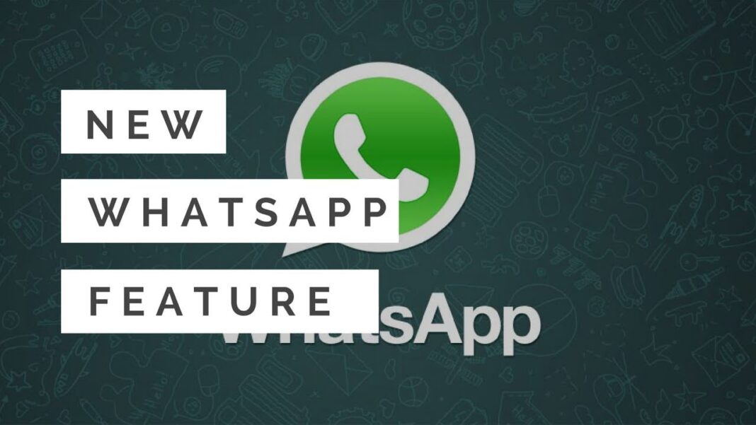 WhatsApp Introducing EDIT & UNDO Features