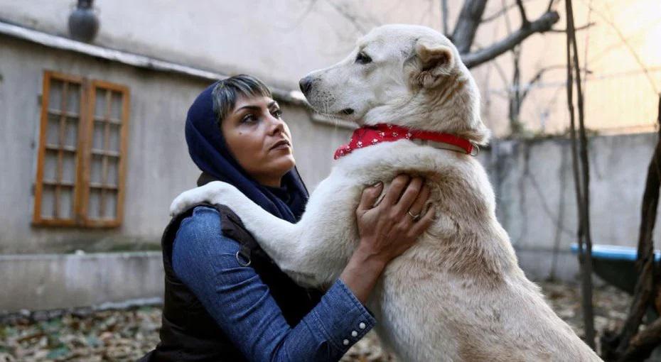 Iran is likely to criminalizes keeping dogs as pet