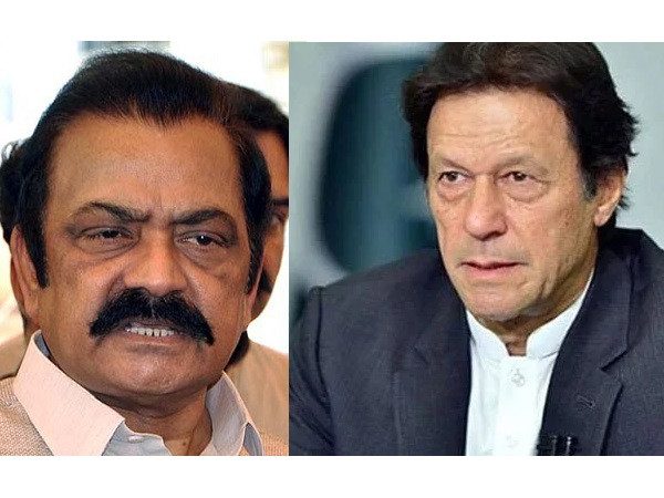 Imran will definitely be disqualified: Rana Sana