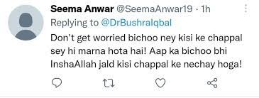 People relate Tuba's Bicho Drama with Bushra's post