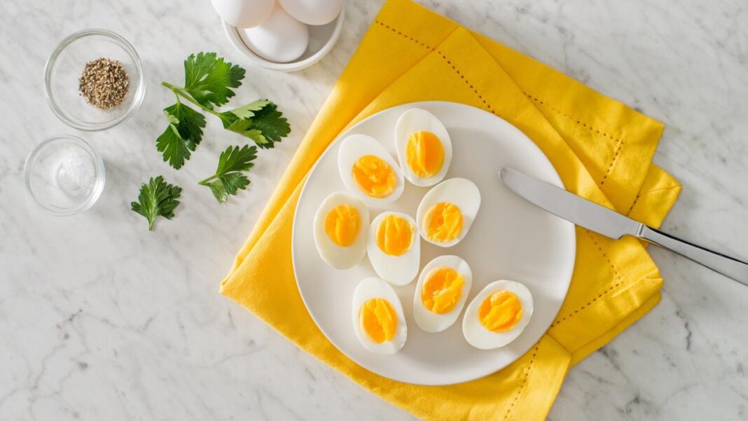 Daily consumption of eggs helps in weight control