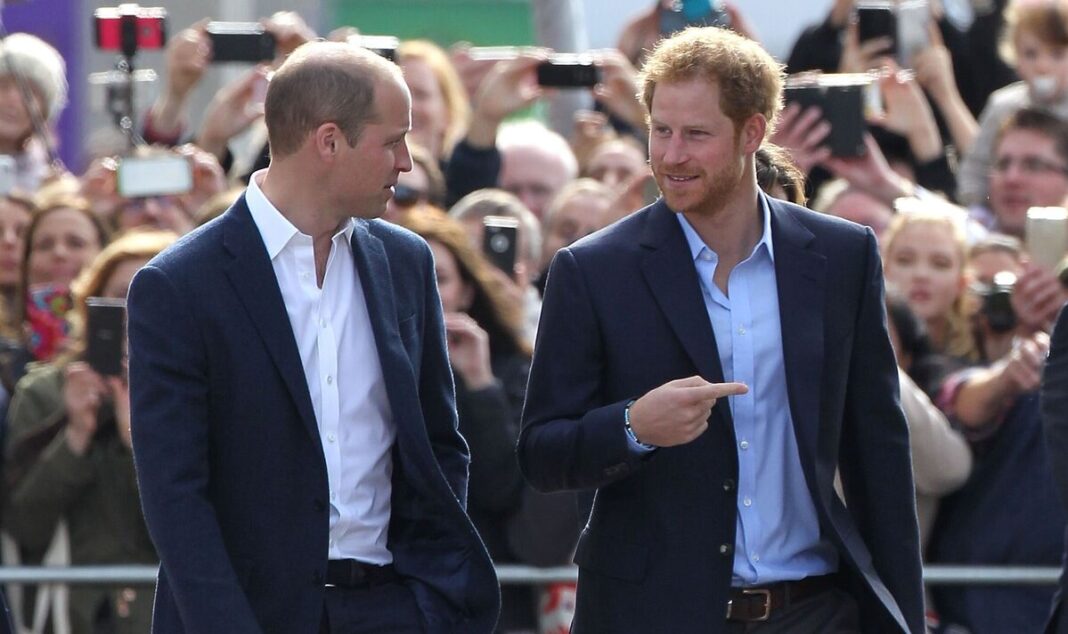 I was born to donate organs to William: Prince Harry