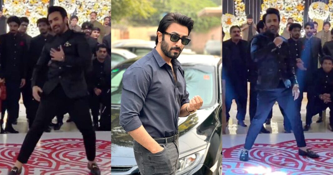 Hammad Shoaib dance on Jhoome Jo Pathaan