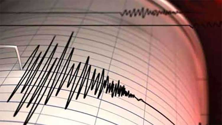 Punjab: 4.4 magnitude earthquake