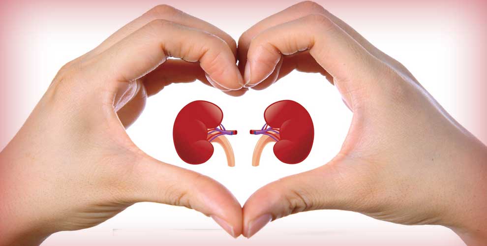 How to keep your kidneys healthy?