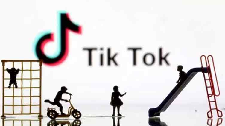 Portuguese NGO sues TikTok