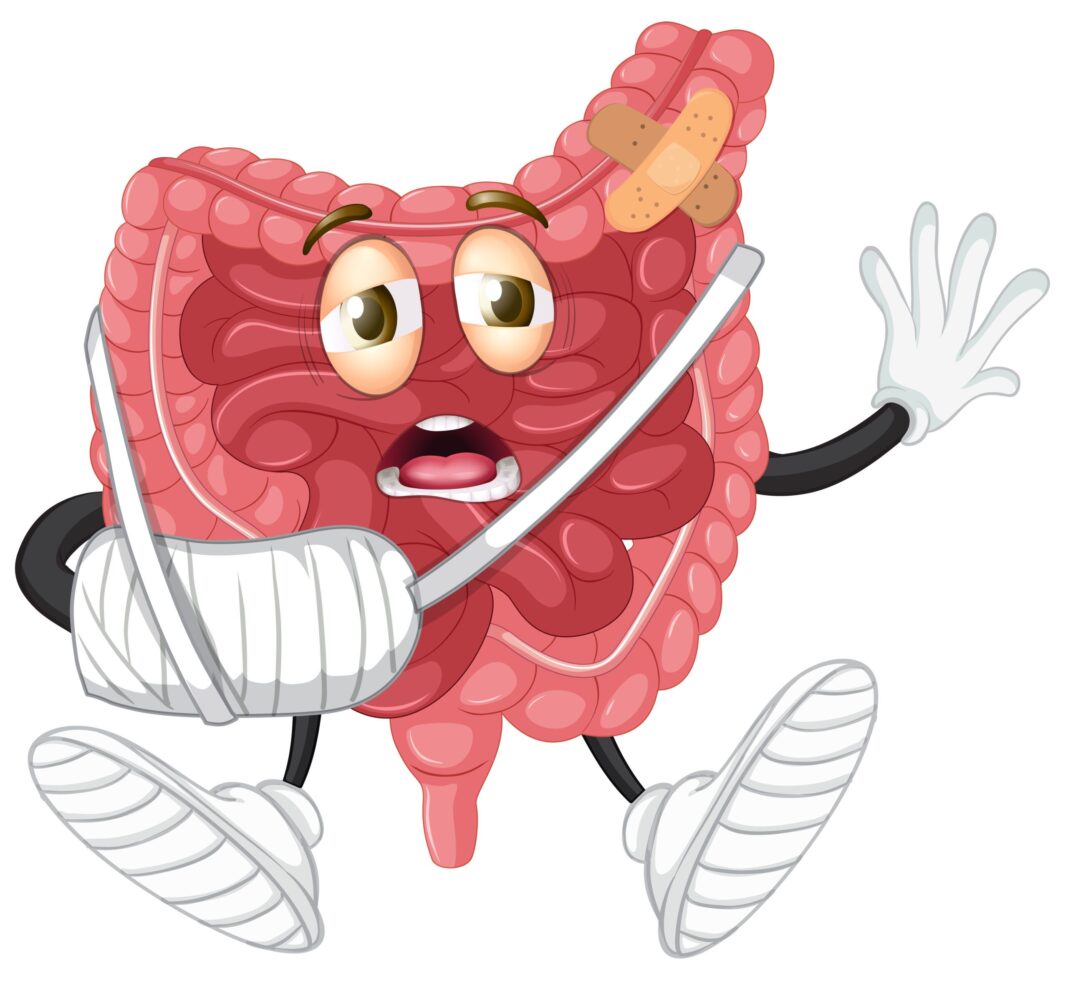 The connection between Gut Health and Mental Health