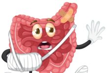 The connection between Gut Health and Mental Health