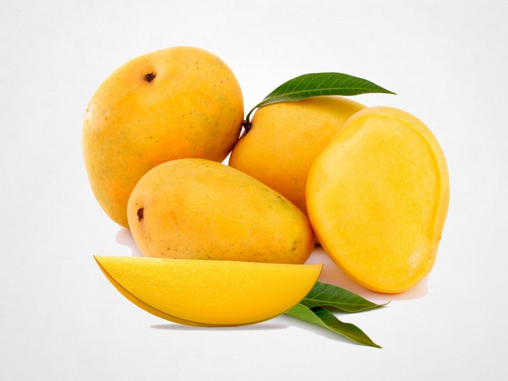 Top 5 mango producing countries in the world