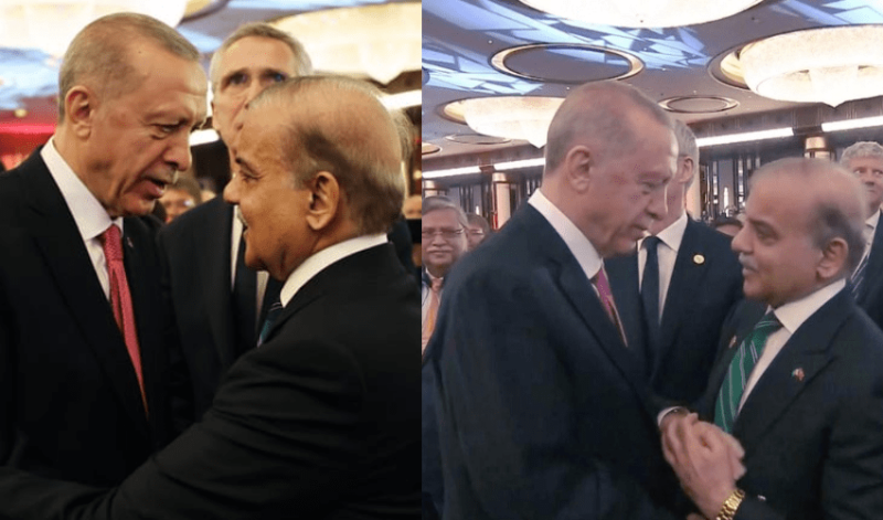 Shehbaz Sharif Gifts Mangoes to Turkish President