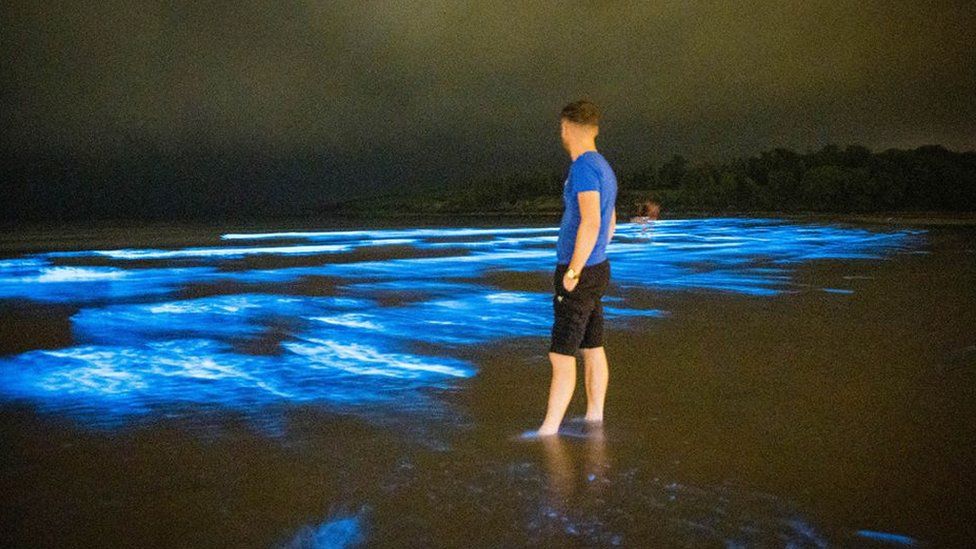 Why do beaches in the UK have blue lights at night?