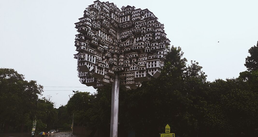 Man Made Bird Nest in Lahore