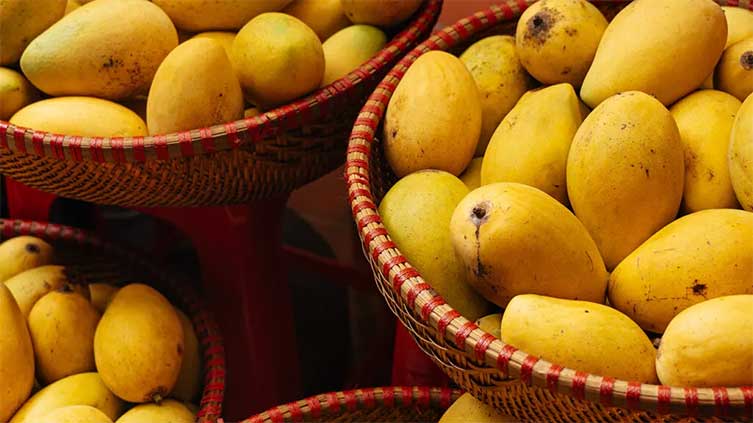 Overuse of mangoes can trigger health issues