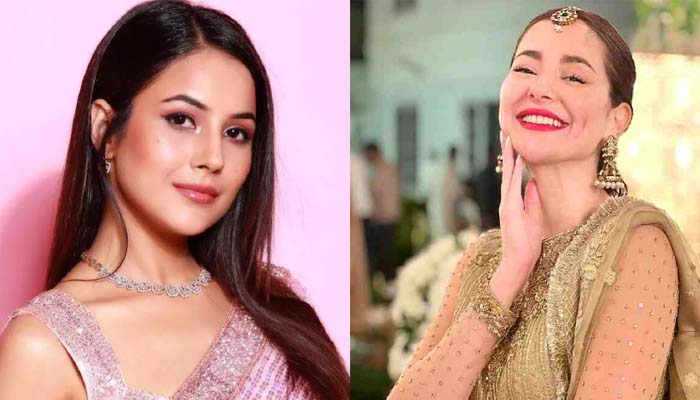 Shehnaaz Gill also turned out to be a fan of Hania Amir